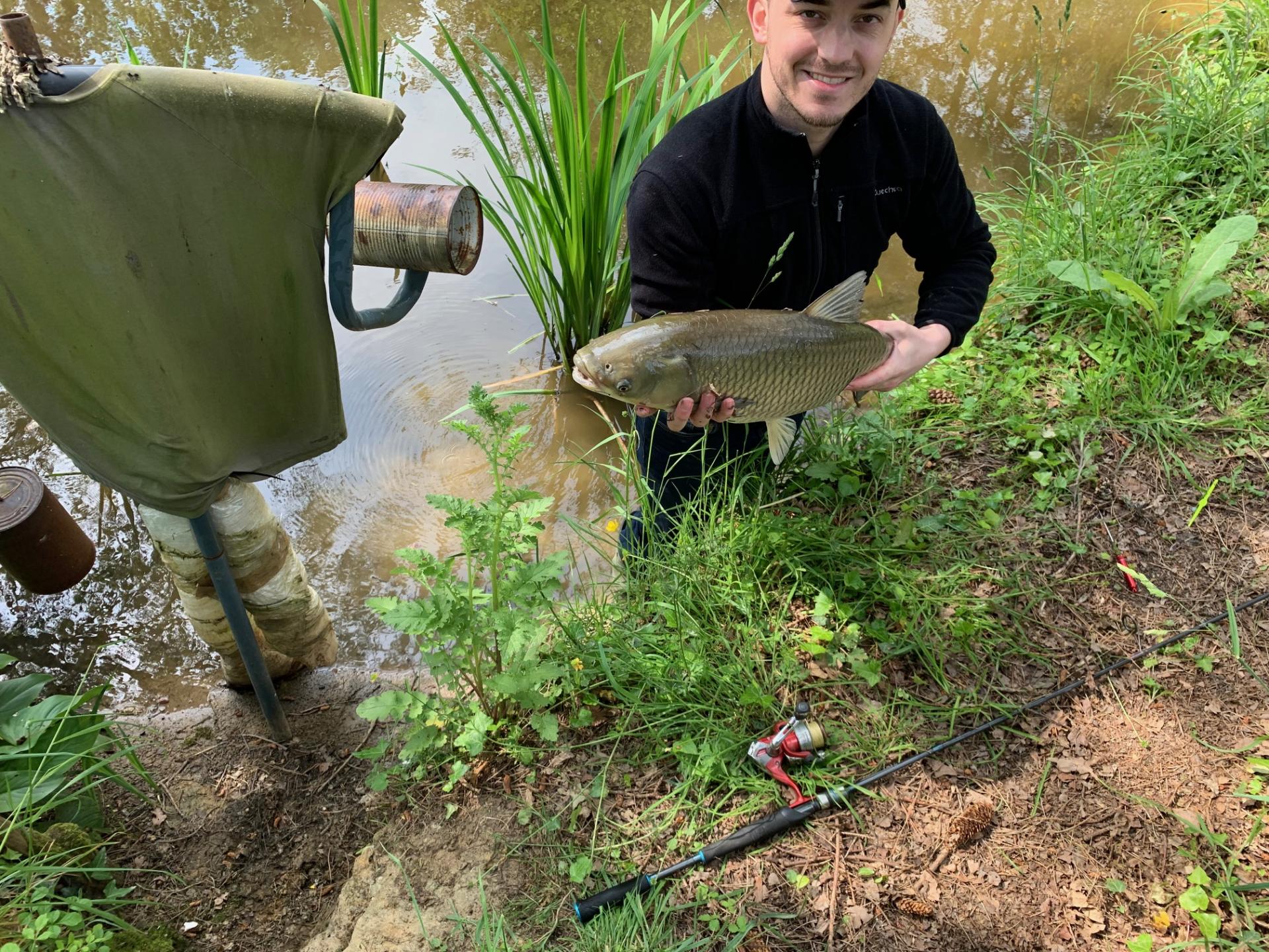 Les poissons de l'étang