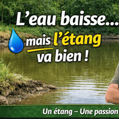 Vignette etang baisse mais va bien aout 2026 v2